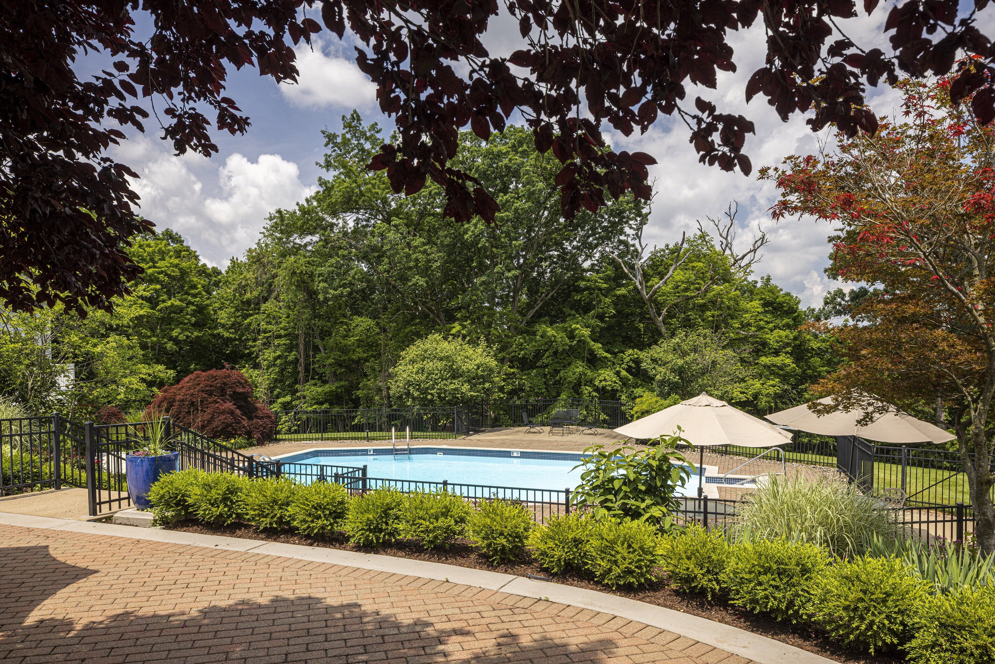 seasonal outdoor pool, pool umbrellas, pool loungers