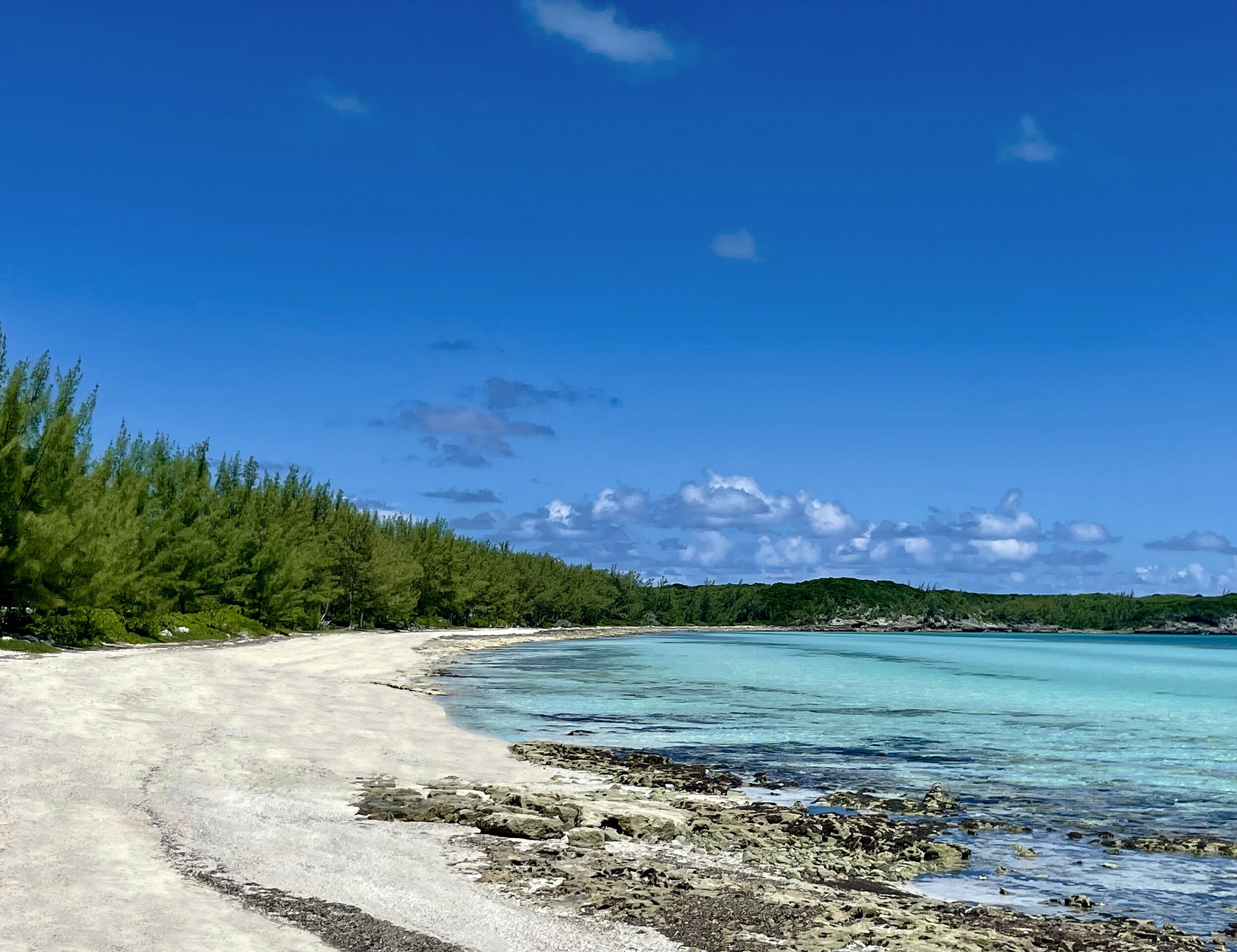 Ein Strand mit klarem türkisblauem Wasser, einem sandigen Pfad und üppigen grünen Bäumen.