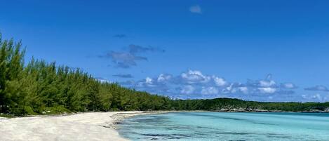 Ein Strand mit klarem türkisblauem Wasser, einem sandigen Pfad und üppigen grünen Bäumen.