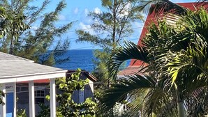 A house with a covered porch, a view of the ocean, and tropical vegetation. - Cheerful Bahamian Pad. Walk to Beaches, Bars, Restaurants, Grocery-Liquor stores (hatchet bay)