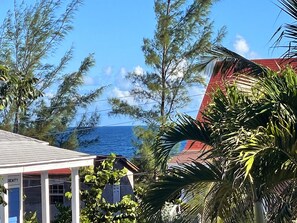 Property grounds - Cheerful Bahamian Pad. Walk to Beaches, Bars, Restaurants, Grocery-Liquor stores (hatchet bay)
