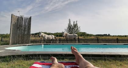 2 houses (up to 9 people) in the heart of nature, with private pool