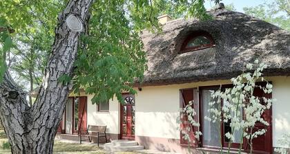 2 houses (up to 9 people) surrounded by nature and with a private swimming pool