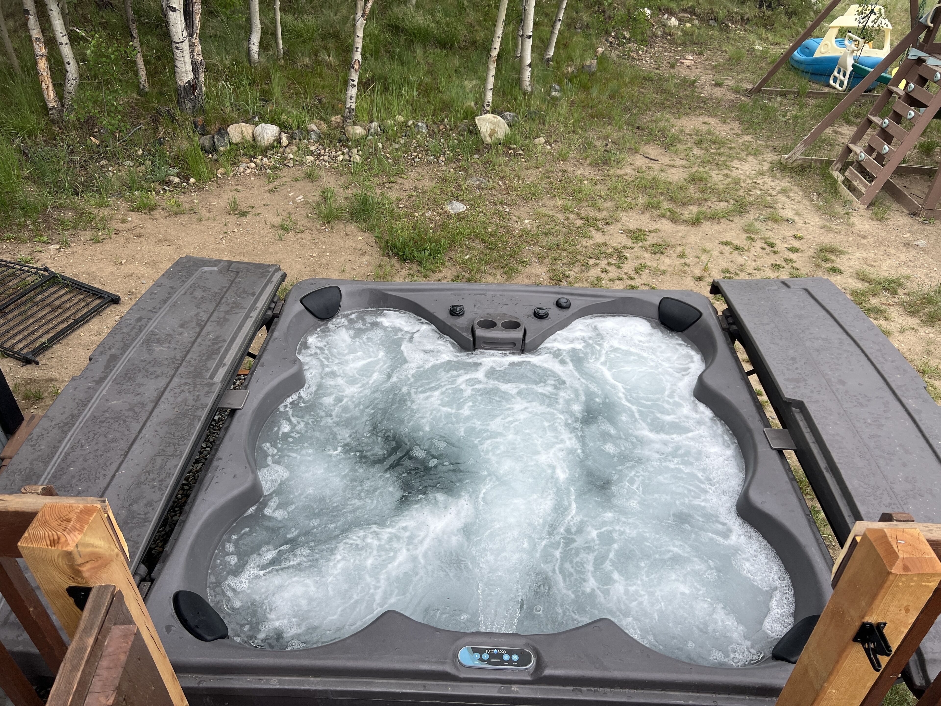 Een jacuzzi met bedieningspaneel, omgeven door een houten terras en een gazon met berkbomen.