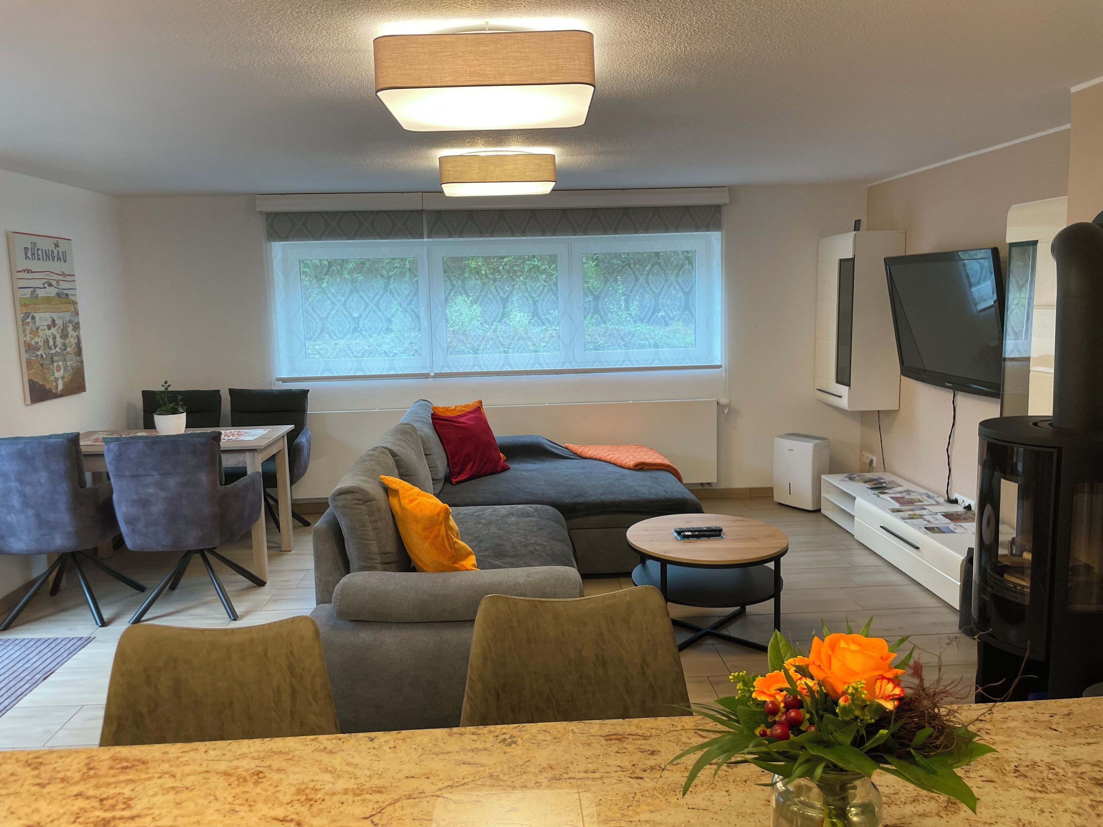 Smart TV, fireplace, books