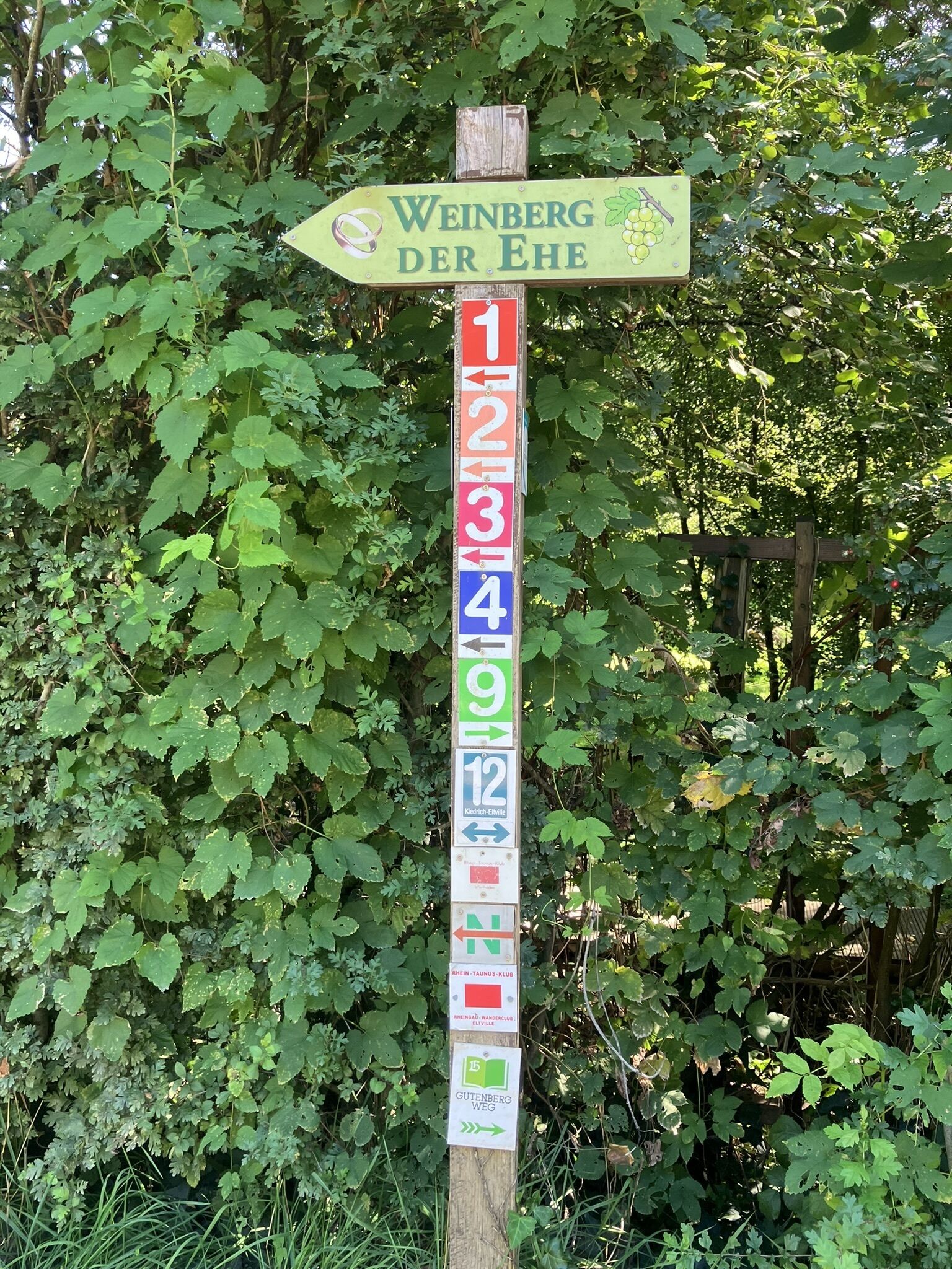 Viele Wanderwege
