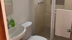 الدش داخل الحمام