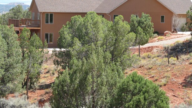 A modern two-story house with a balcony, surrounded by trees and a clear view of the mountains.