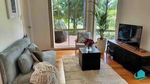 TV, fireplace, books