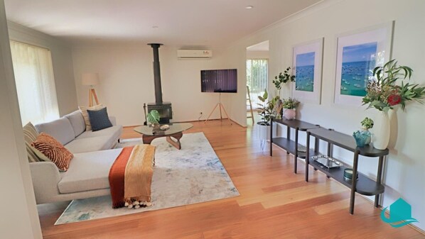 TV, fireplace, books