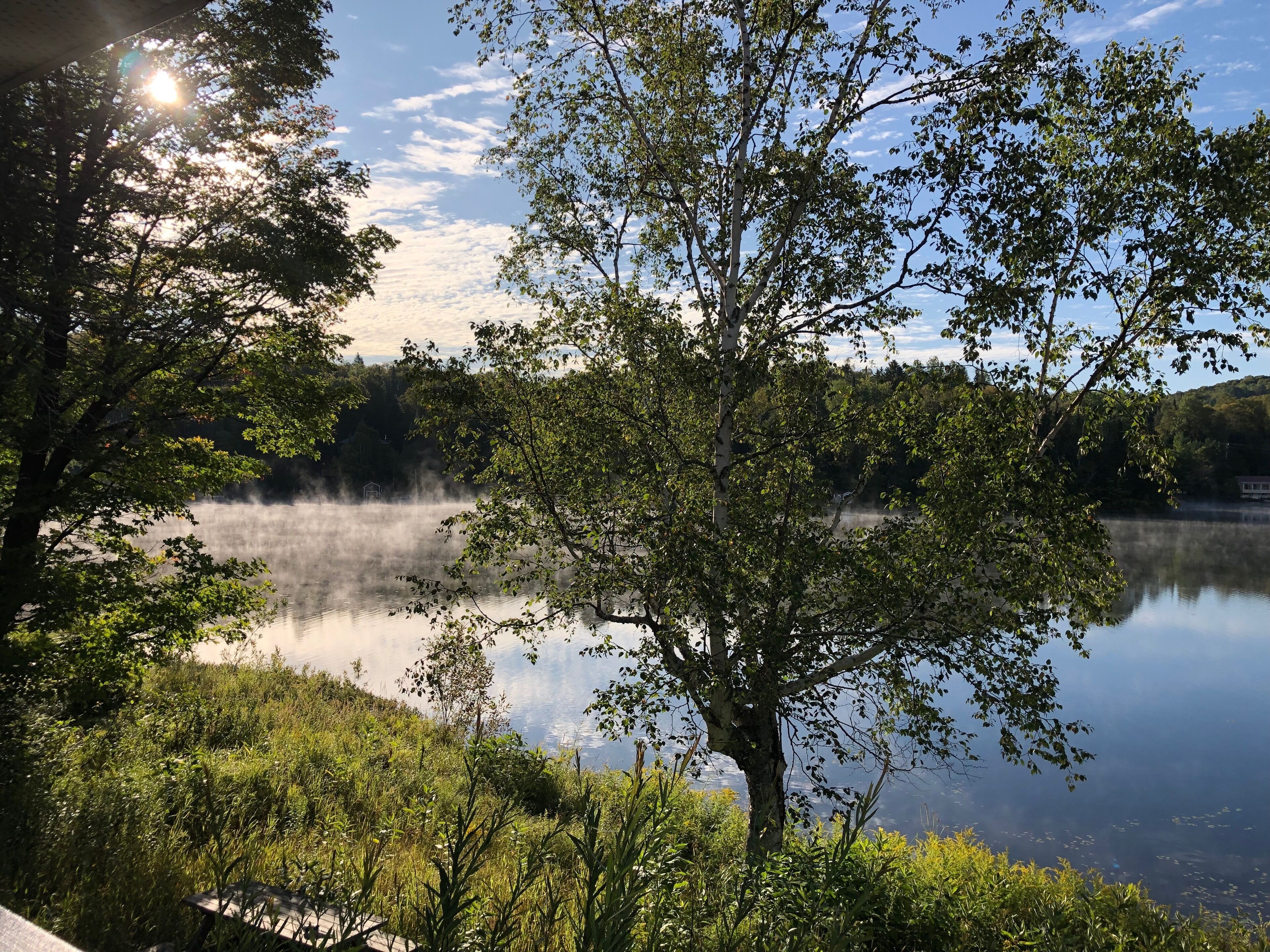 A serene lakeside view with a tree in the foreground, calm water, and a misty atmosphere.