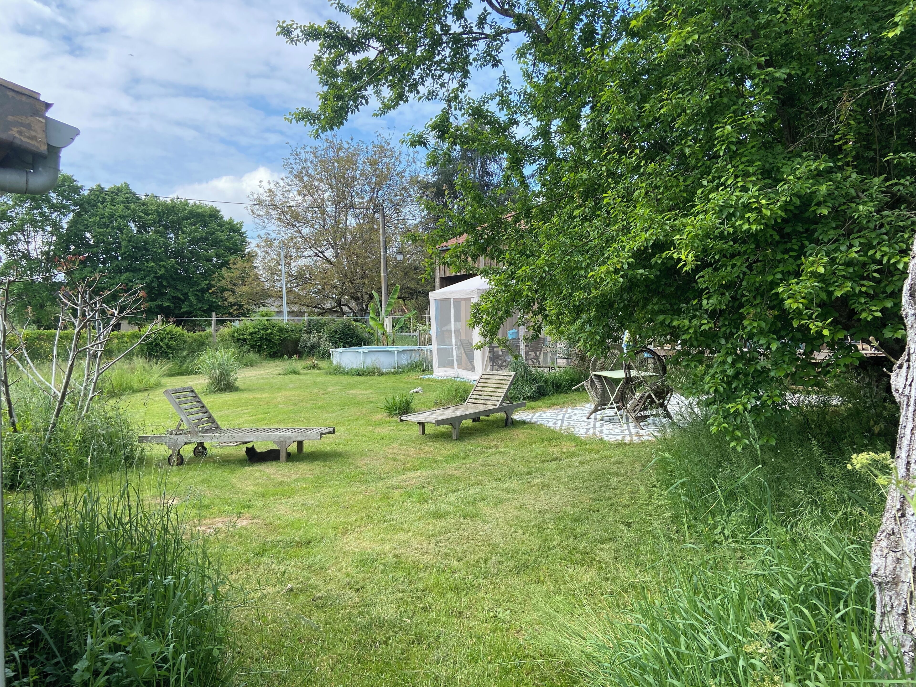 Un patio trasero con piscina, dos sillones de descanso y un cobertizo pequeño.