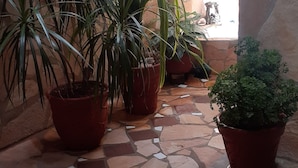 A courtyard with potted plants and a tiled floor. - Hostal Rodolfo y Nancy TRINIDAD (Trinidad)