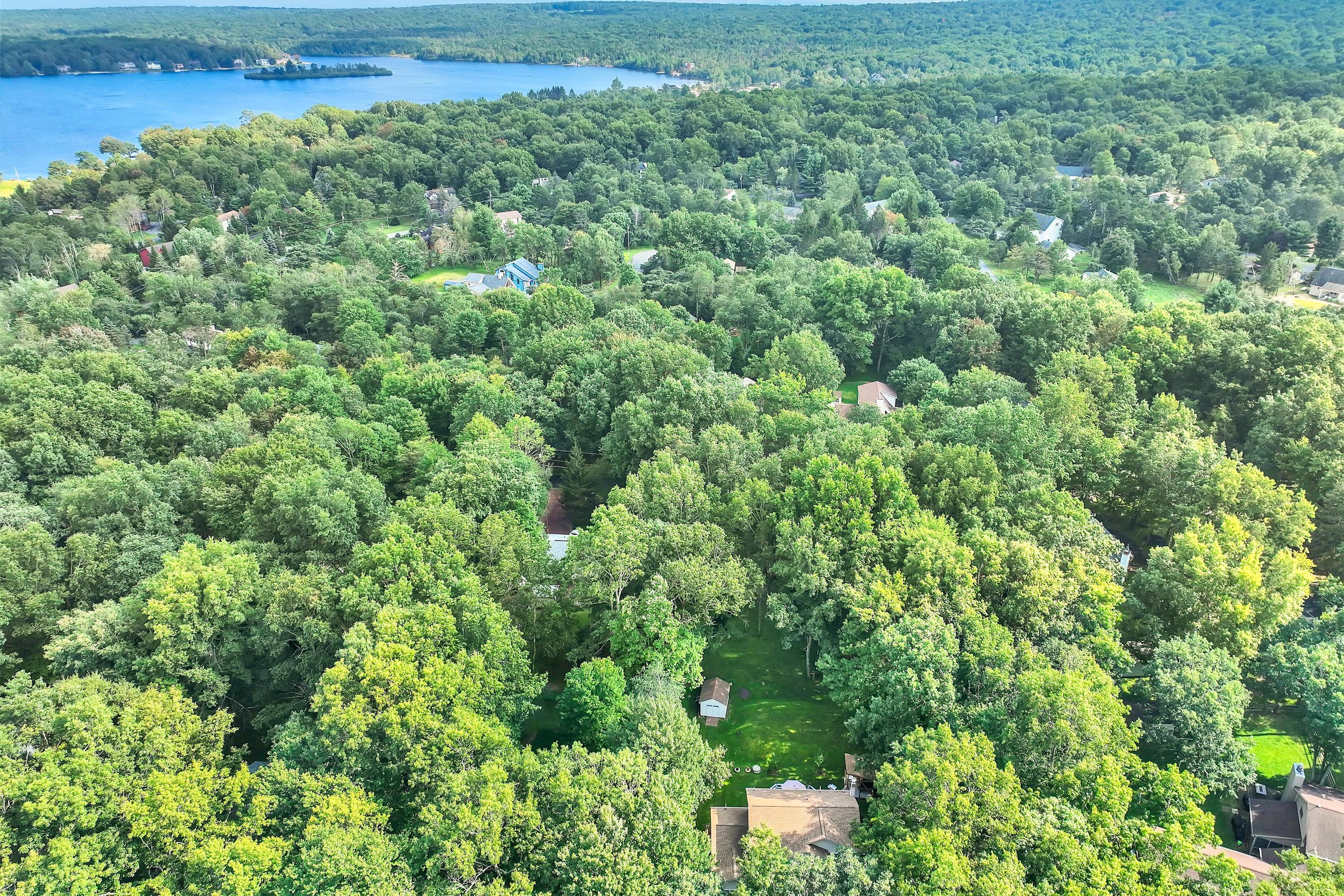 Ein Wohngebiet mit Häusern, umgeben von dichtem Wald und einem See im Hintergrund.