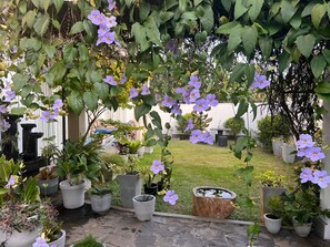 A garden with potted plants and a fountain. - Silina Airport Residence in Katunayake (Seeduwa - Katunayake)