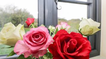 A window with a view of a garden.