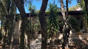 Une cour bordée d’arbres majestueux, un chemin pavé de pierres et un bâtiment surmonté d’un toit en tuiles.