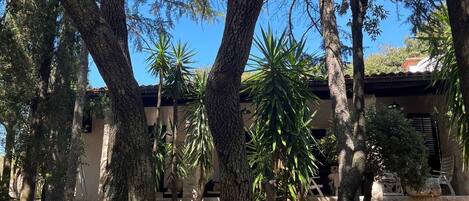 Jardines del alojamiento