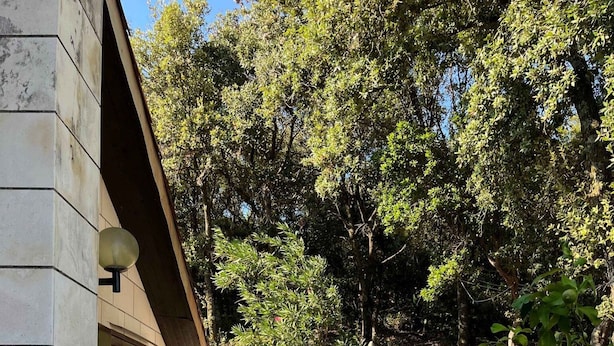 Un sentier de pierres mène à une construction en pierre dotée d’une petite entrée en arc, le tout étant entouré d’arbres et d’un mur de pierres.