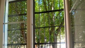 Vista a través de una reja metálica con un marco blanco, que da a un área pavimentada con árboles y un farol.