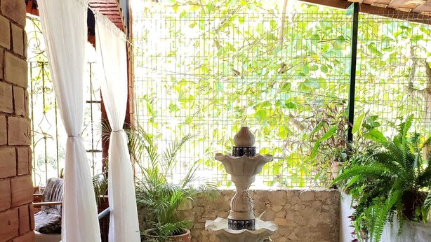 Une cour intérieure agrémentée d’une fontaine, de plantes en pot et offrant une vue sur la verdure à travers un treillis métallique.