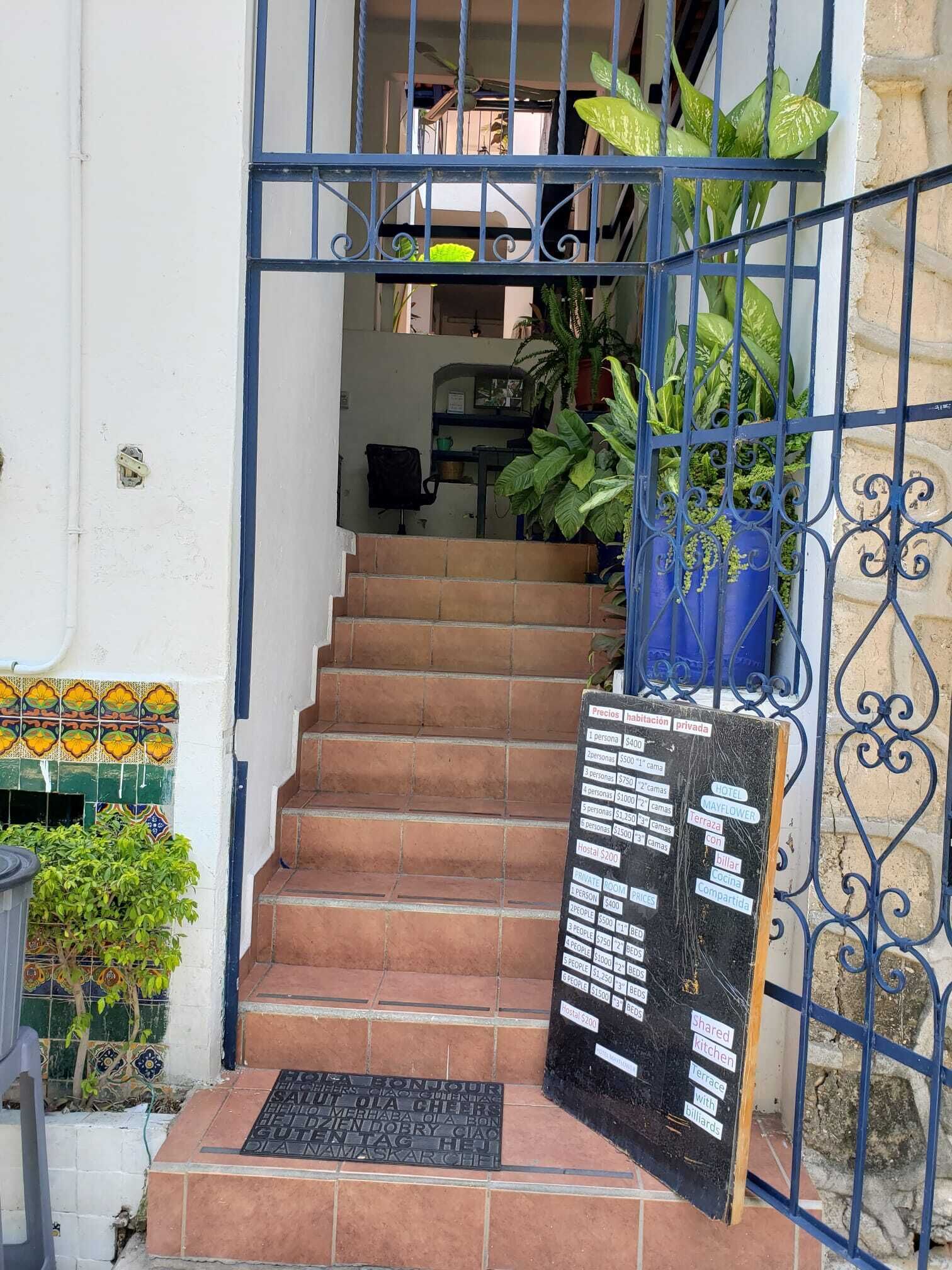 Foto - MayFlower Hotel & Hostal