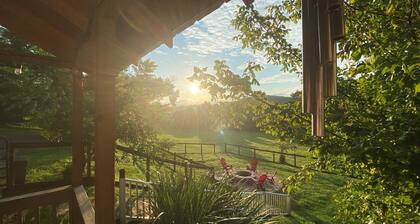 WeLoveALLDogs/FullyFencedYards/Firepit/Views/2King