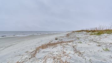 On the beach