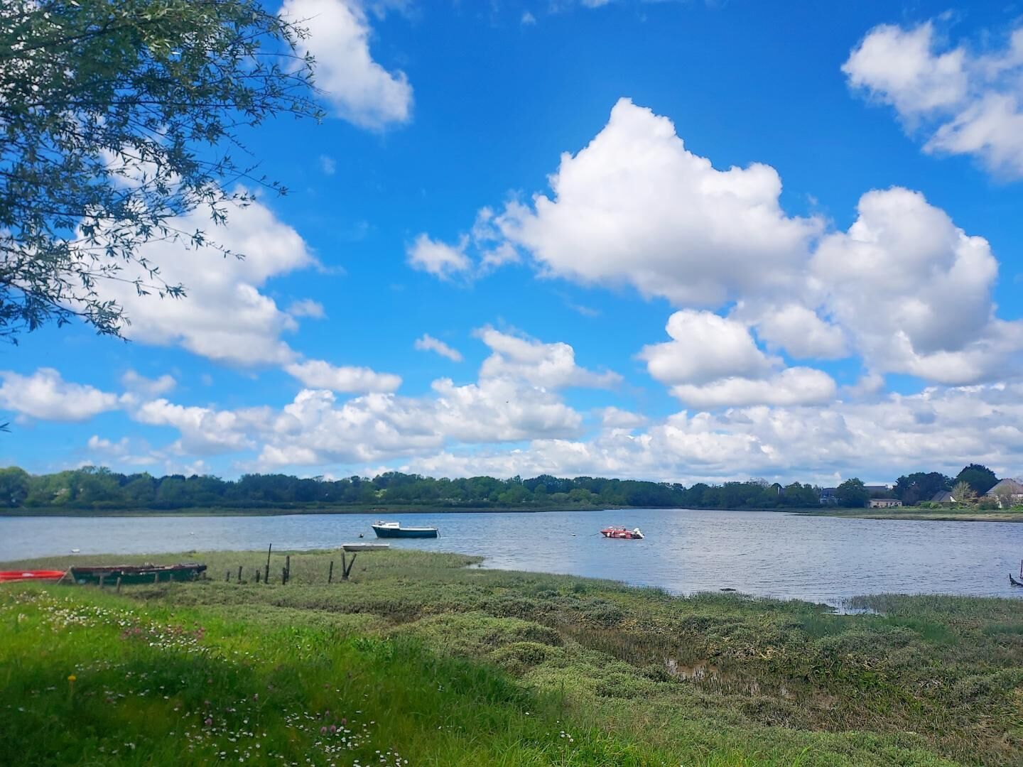 A calm lake with boats, grassy banks, and a clear sky.