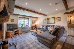 Smart TV, fireplace, DVD player, books