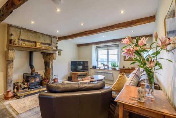 Smart TV, fireplace, DVD player, books