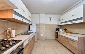 Fridge, oven, stovetop, dishwasher