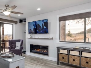 Smart TV, fireplace, DVD player, video library