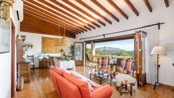 Télévision, cheminée, livres