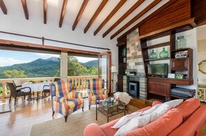 TV, fireplace, books
