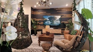 A modern living room with a hanging chair, a wooden coffee table, and a sofa. There is a television mounted on the wall and a large plant in the corner.