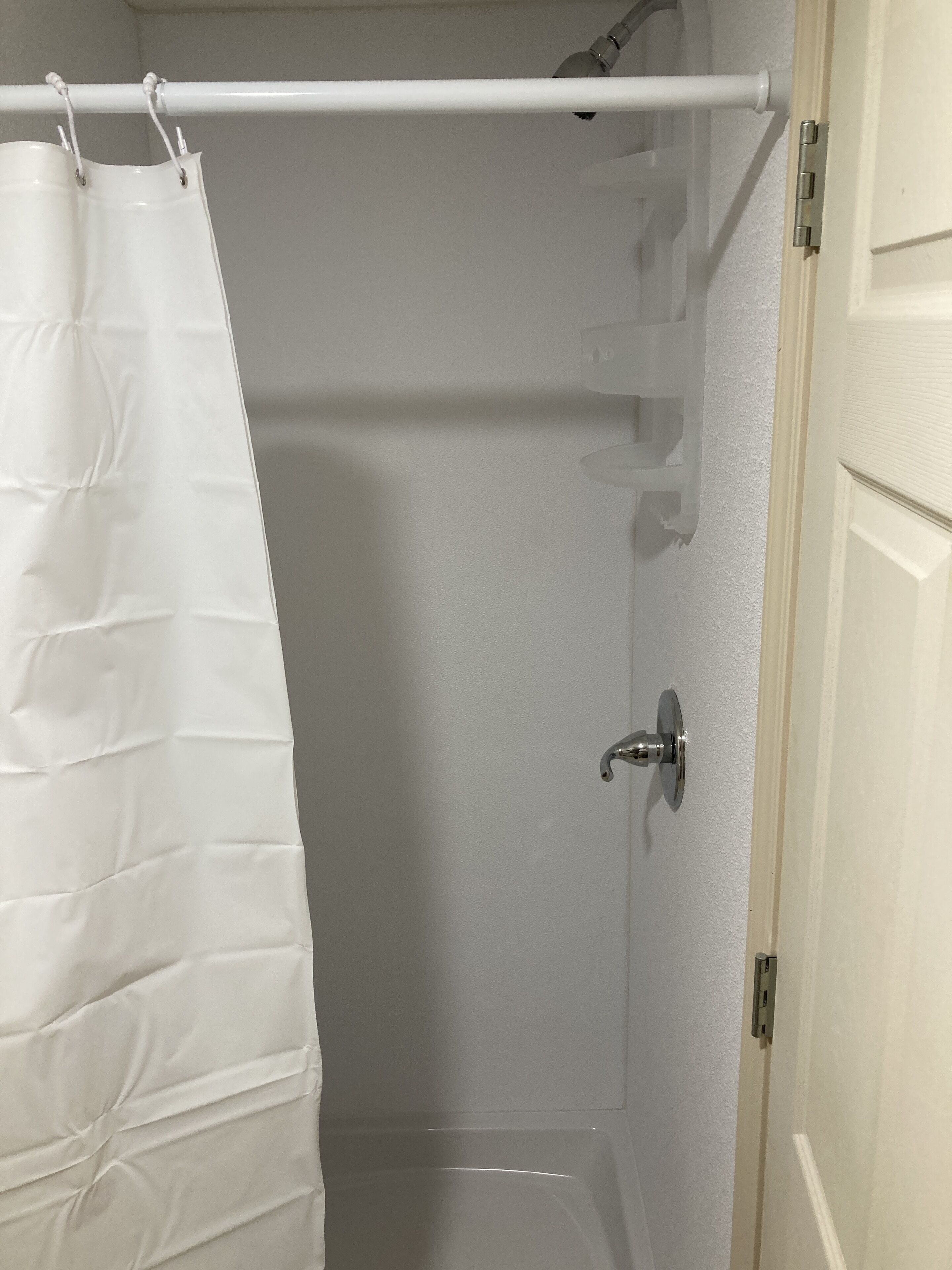 Shower, towels, toilet paper