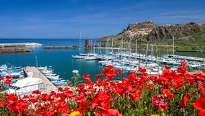 Una marina con barche ormeggiate, una collinetta rocciosa con edifici e fiori rossi in primo piano.