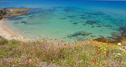 Tolles Haus mit 2 Schlafzimmern in.