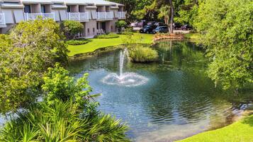 Vista da propriedade