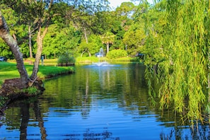 Lago