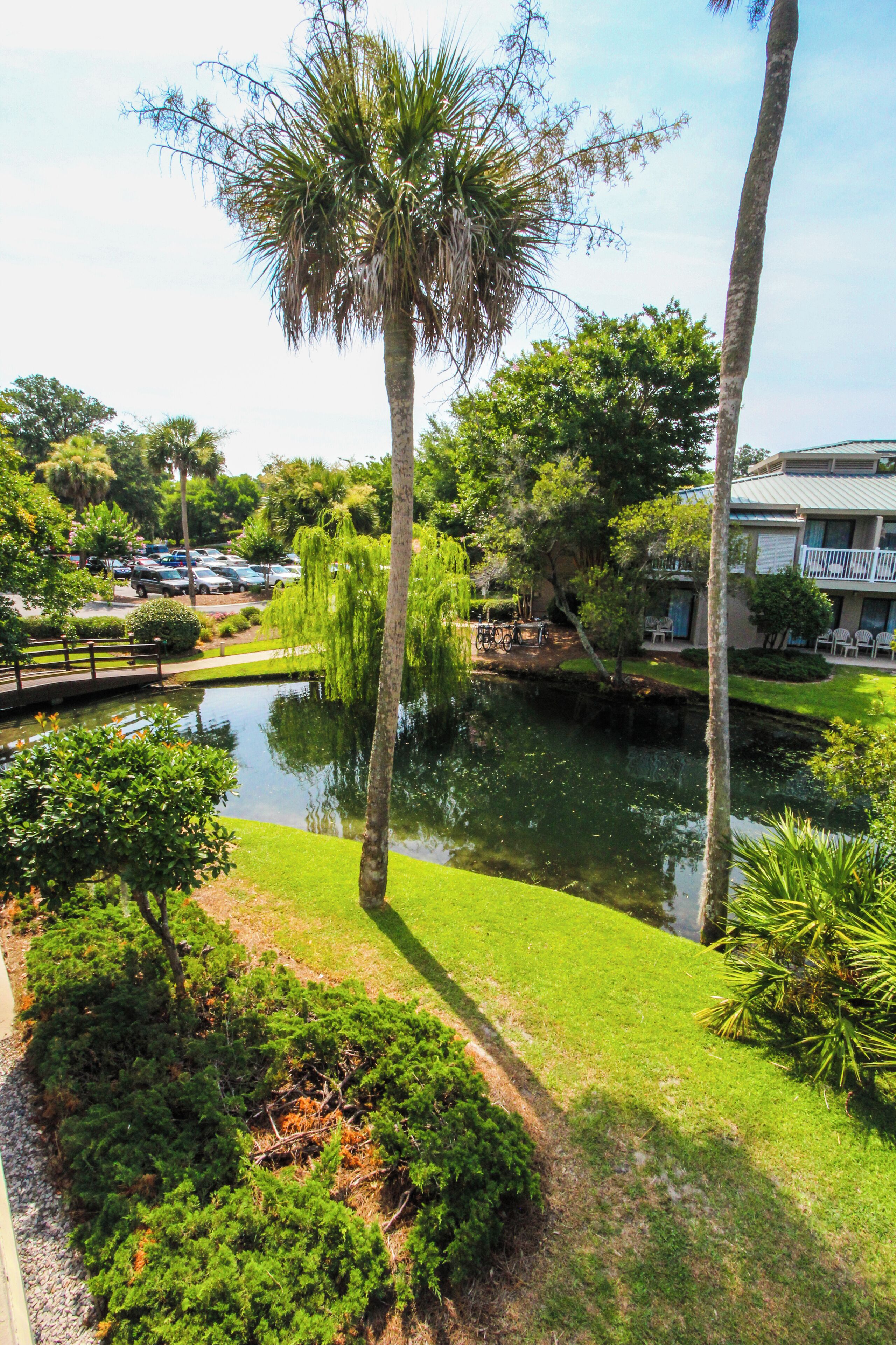 A serene hotel courtyard with a pond, palm trees, and a parking area.
