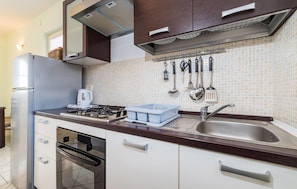 Fridge, oven, stovetop, cookware/dishes/utensils