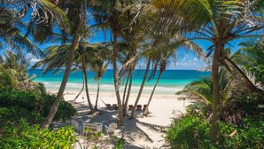 A beach with palm trees, a sandy path, and a view of the ocean. - CASA ZABA (Tulum)