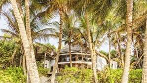 A beachfront property with a thatched-roof structure, surrounded by palm trees and sandy ground. - CASA ZABA (Tulum)