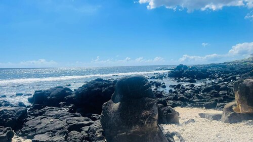 Spacious 4-bed Villa in Flic en Flac Roof top bar