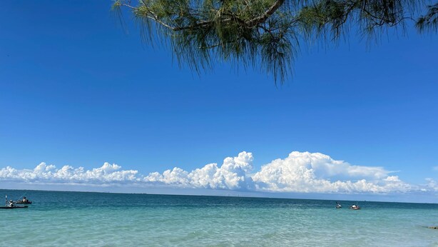 Una playa con agua cristalina, barcos y un ave en aguas poco profundas.