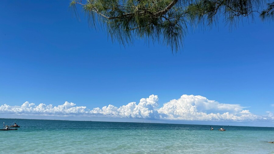 Anna Maria Beach Serenity