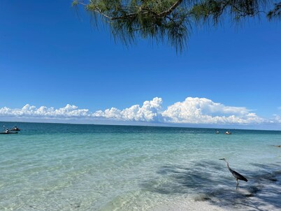 Anna Maria Beach Serenity