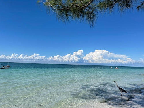 Anna Maria Beach Serenity